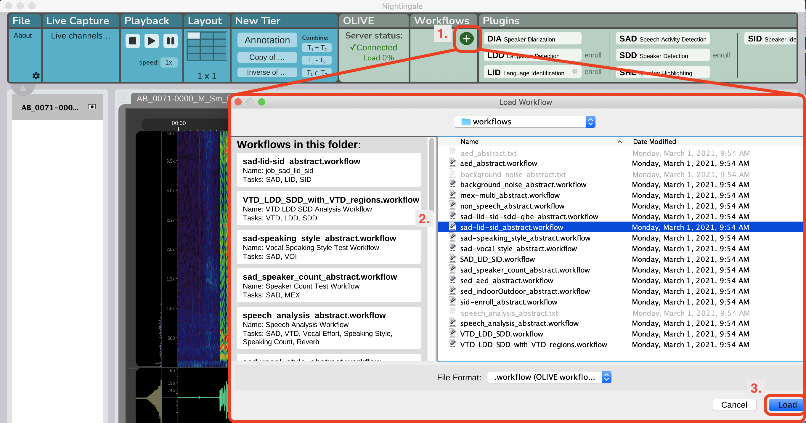 Load Workflow