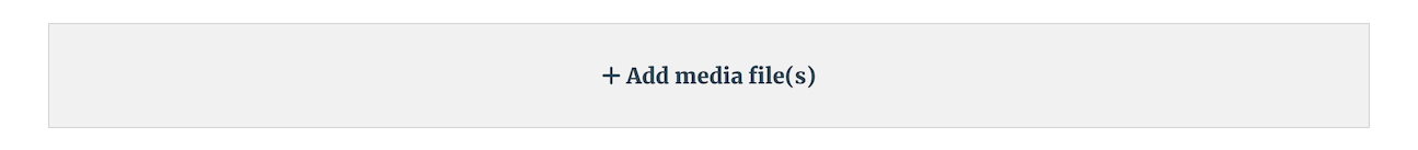 Add Media File Box