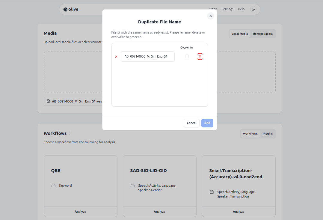 Duplicate Filename Dialog